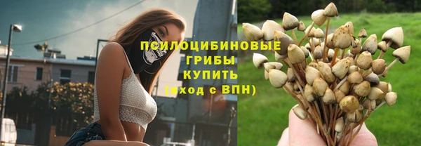 молекула духа Алексин
