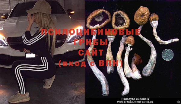 2c-b Алексеевка