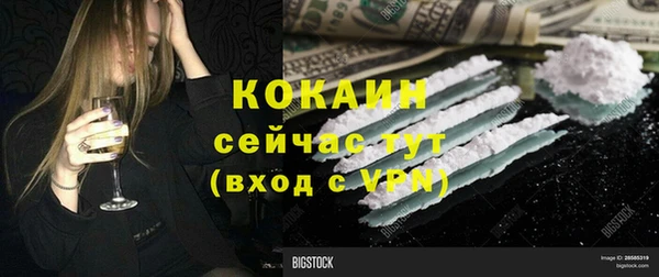 молекула духа Алексин