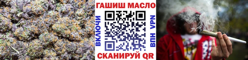 купить наркотики сайты  Ачхой-Мартан  даркнет официальный сайт  ТГК гашишное масло 