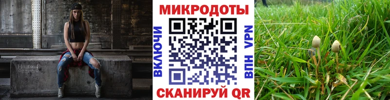 Псилоцибиновые грибы Cubensis Ачхой-Мартан